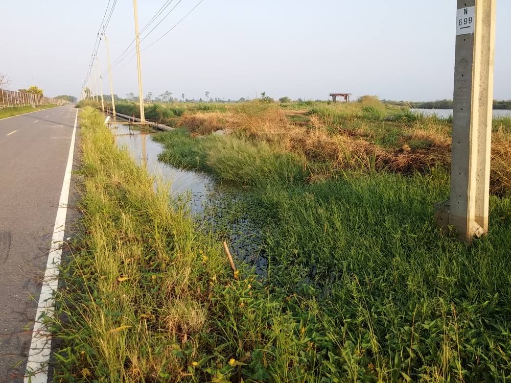 สถานะการณ์หมายตีปลาช่อนริมทาง แถวเปร็ง แถวคลองสวนตอนนี้ เหลือแค่นี้ละครับ