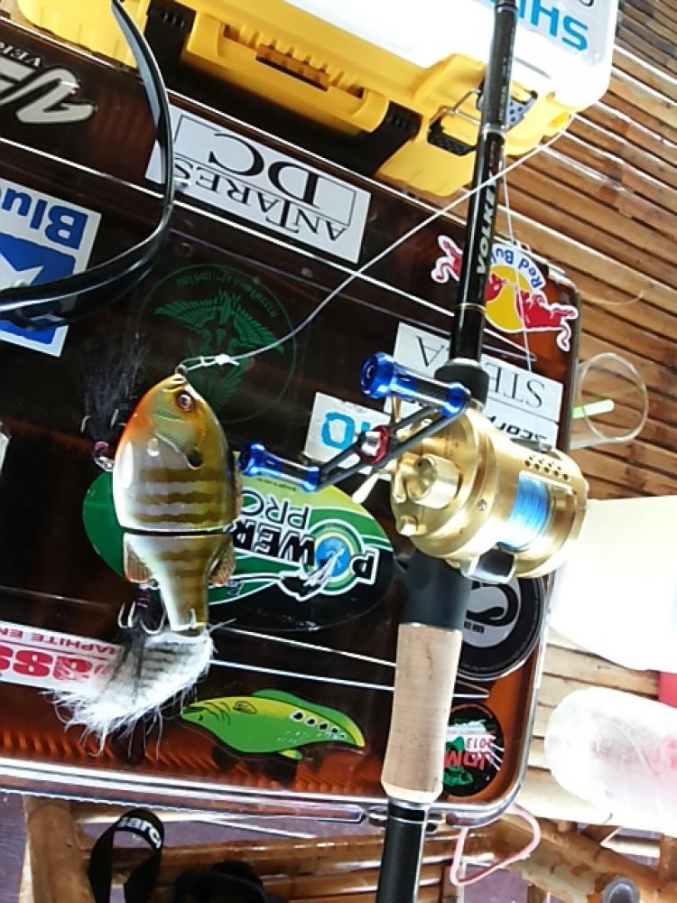  :smile:
Rod: Major craft volkey blc 14-30lbs
Reel :Cq201 
Lures :Bullshooter (Tha)
Pe 3 (820 tw