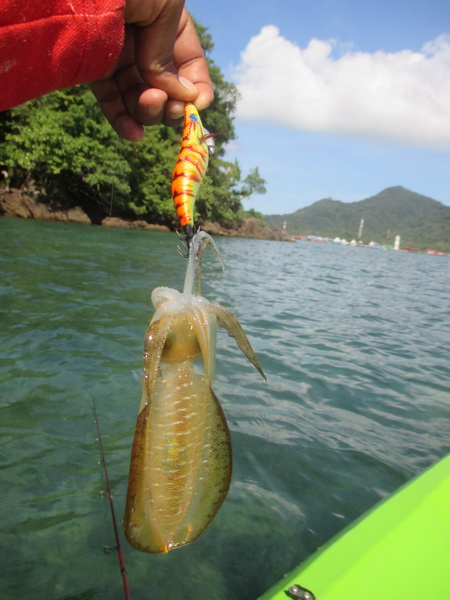 LURE : harimitsu sumizoku ขนาด 2.5
ROD:
LINE:
REEL:
หลังจากที่เหน็ดเหนื่อยจากเมื่อวาน...โยเทพโดน