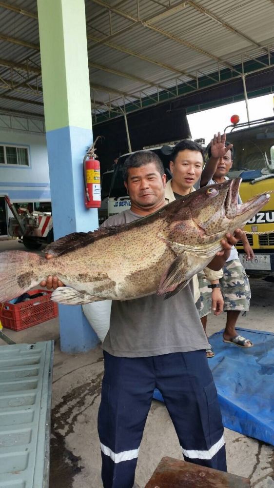 ดูครับน้องขอแจมครับ