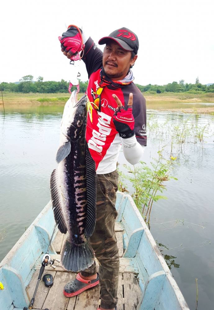  สวัสดีครับ น้าไผ่
ผม น้าตุ้ย Nfuu เป็นคน พยุหะคีรี นครสวรรค์
ปัจจุบัน อยู่ บางกะปิ กรุงเทพฯ  [b]ย