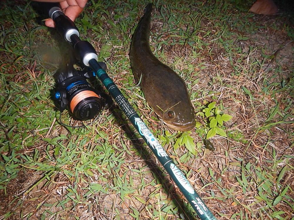 
 [center] [b]ROD : St.croixLEGENDXTREME SPINNING ROD LXS76MF2 6 - 12  
REEL : Quantum Smoke Insho