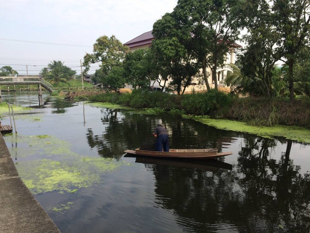 เจอคุณลุงพายเรือมากูไอ้โง่
สอบถามได้ความว่าทิ้งไว้สองวันสองคืนแล้ว ได้ปลาสลาดไม่กี่ตัว
ปลาอื่นๆ พา