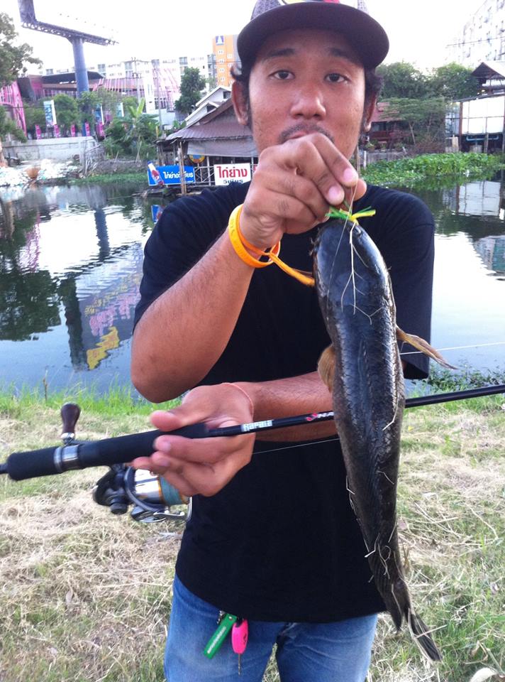 
ตีได้สักพักก็โดน ตัวสวยเลย

คัน Rapala Shadow 8-20