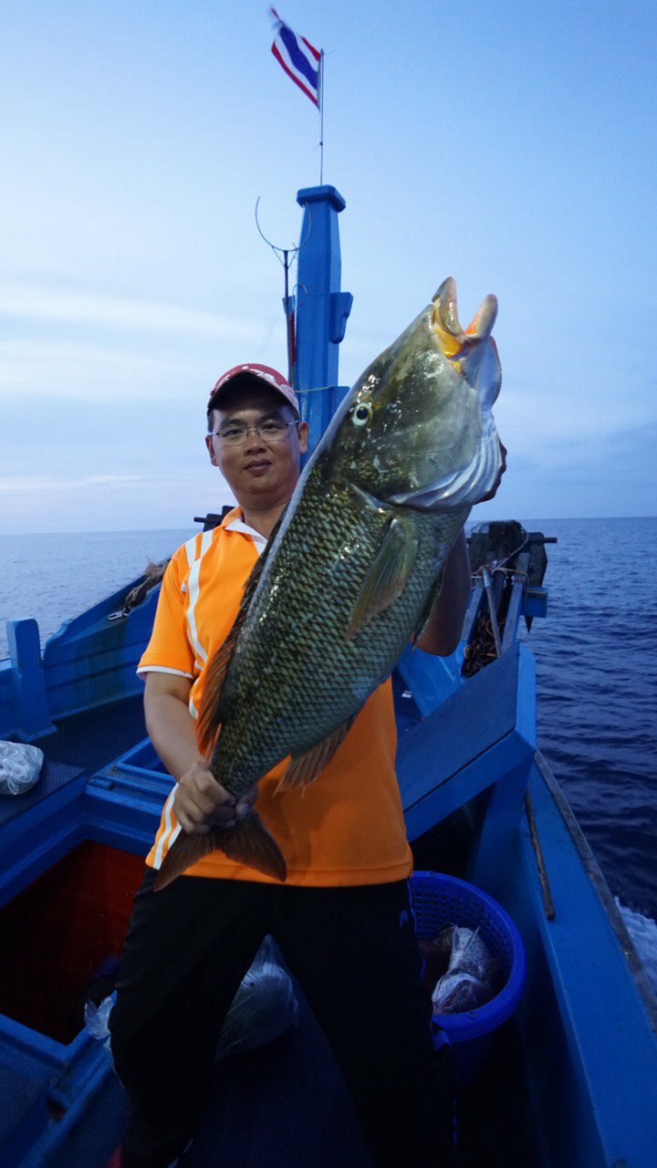 ผมนี่ รีบเลยเลยครับ ก่อนที่เด็กเรือ จะ รีบเอาปลาไปดอง

ปลาเพื่อน ก็ เหมือนปลาเรา ขอซักรูปนะ 5555
