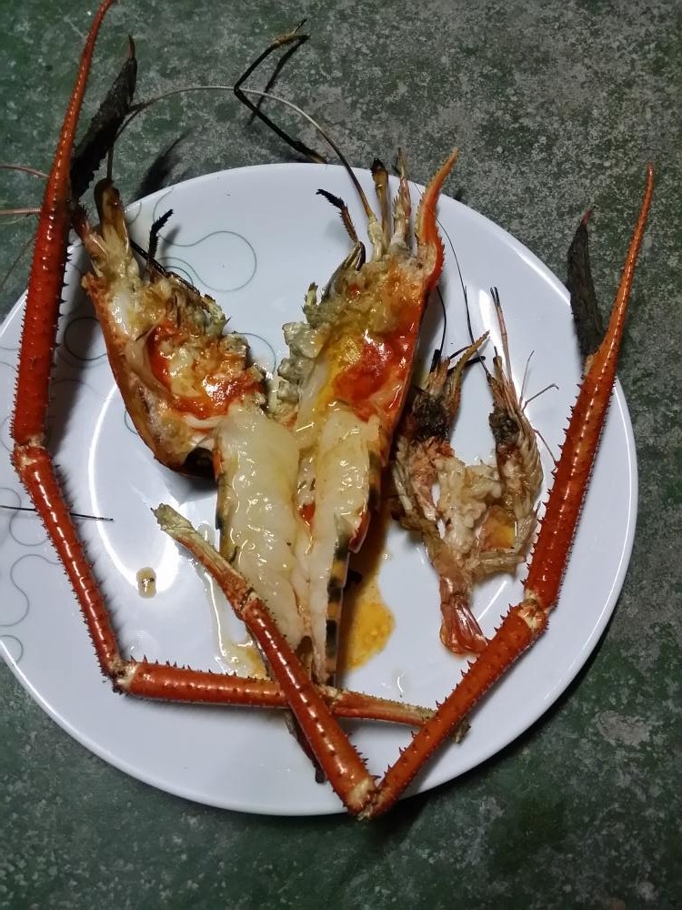 ขอลาไปด้วยภาพนี้นะคัพ ทำกุ้งเผากินคัพ เท่านี้ก้อสุขใจแล้วคัพ ตกเอง ทำเอง เผาเอง กินเอง ได้อยุ่กับธรร