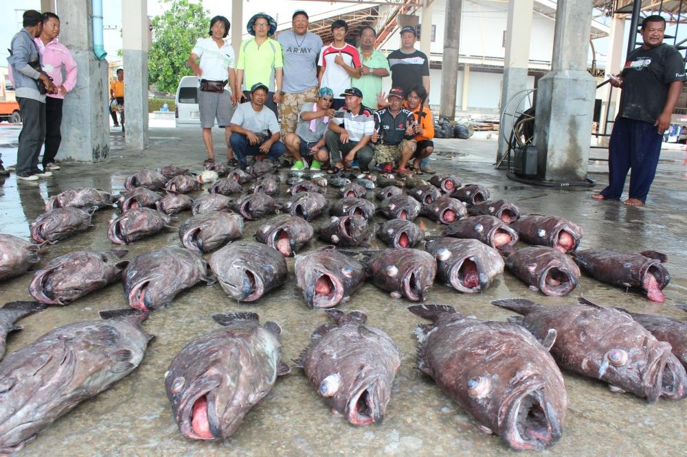 ขอบคุณสำหรับพื้นที่ แห่งนี้ Siamfishing ที่ทำให้ผมได้แชร์รูปภาพและประสพการณ์ดีๆ
ขอบคุณไต๋เอกและทีมง