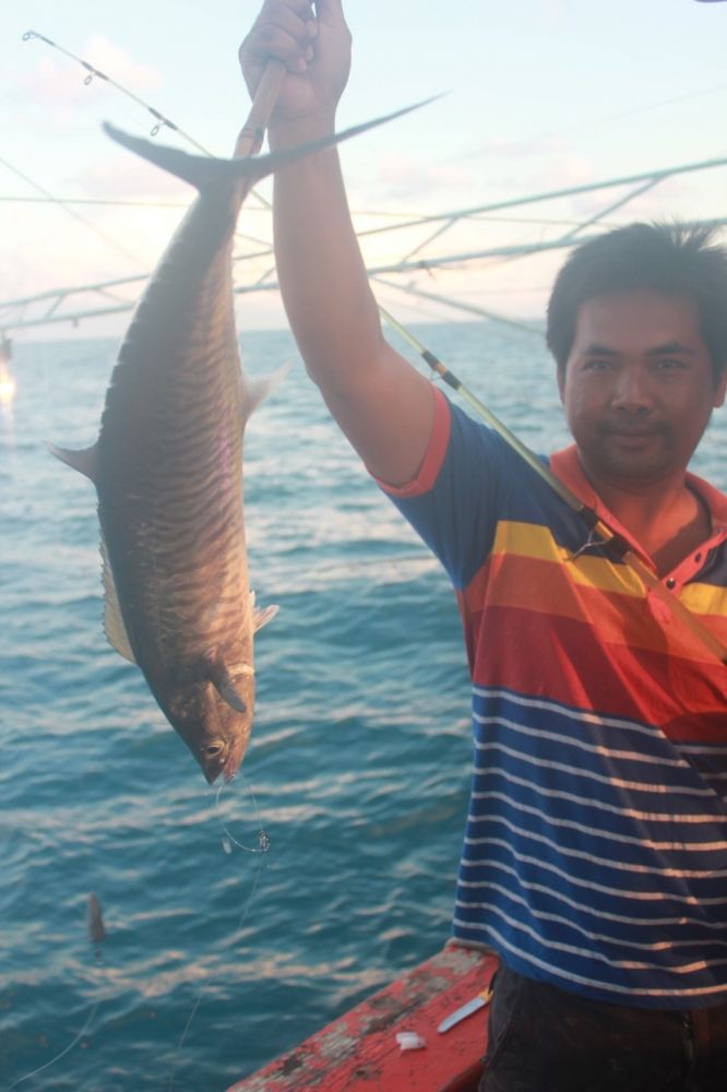 ในทะเล....(IN..SEA)

 :laughing: :laughing: :laughing: