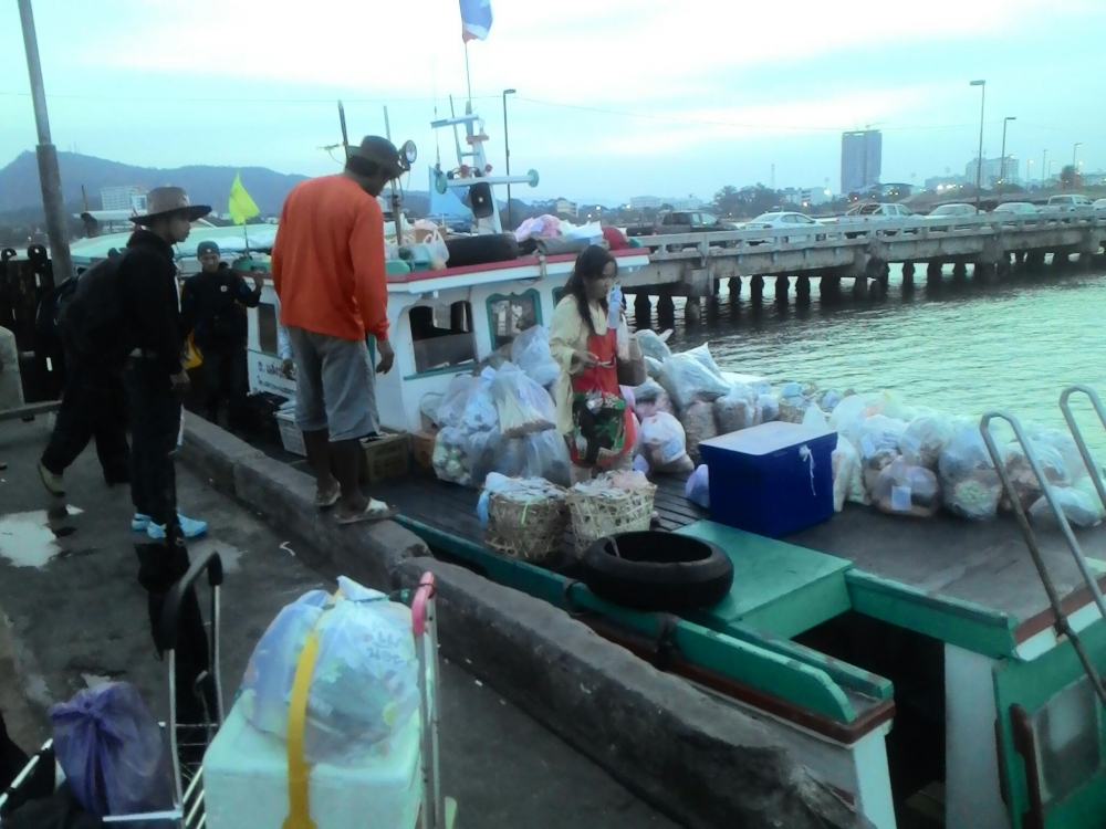 พอมาถึงเรือโดยสารเที่ยวแรก สังเกตุเห็น ผักผลไม้ เนื้อไก่เนื้อหมู เพียบเลย เลยสอบถามคนเก็บตั๋ว เค้าบอ