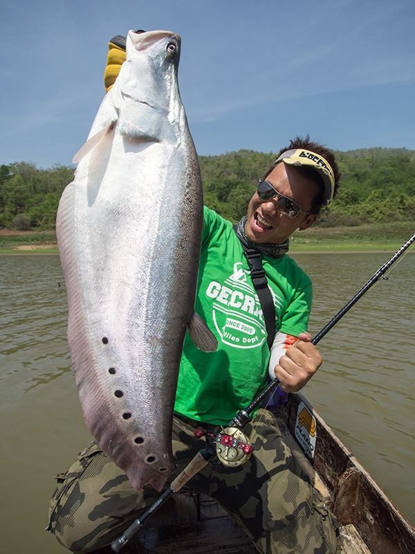  [center] [b] งัดดดอออกมาาจากตออเลยฮะ

Rod: Geecrack DD Galaxxy GXY-C70H Dragstar 12-25lb

Lure: