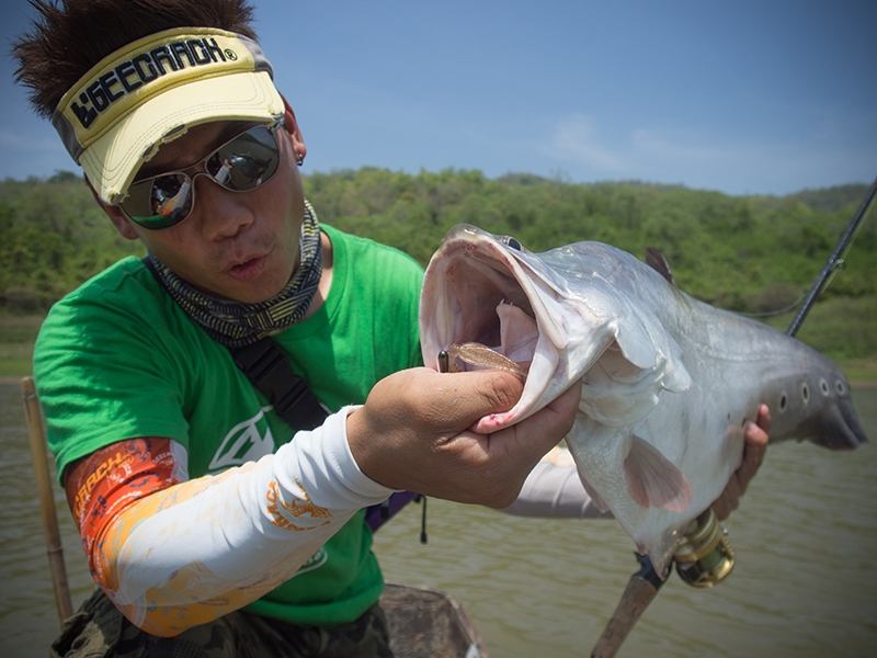  [center] [b] 
Rod: Geecrack DD Galaxxy GXY-C70H Dragstar 12-25lb

Lure: Geecrack Leaf Shrimp 3.8