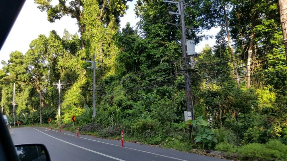 ธรรมชาติข้างทางสวยดีครับ