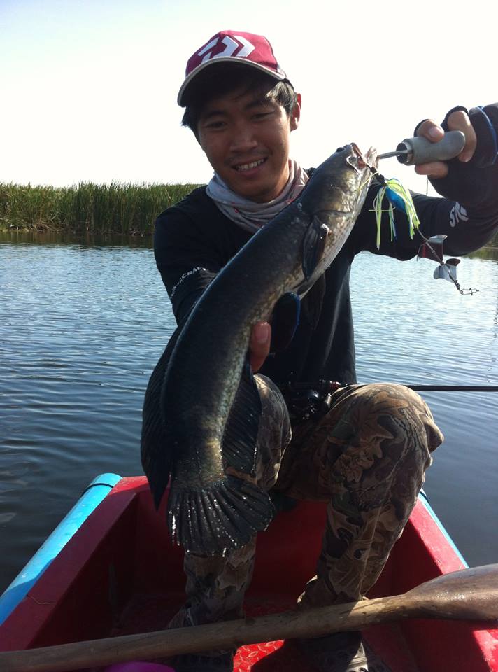 ตัวนี้กัด Mahseer Argus ของพี่ทัพ ทะลุแก้มเลย ตะขอคมมาก กัดสะดีงนึกว่าไอ่โด  :laughing: :laughing: :