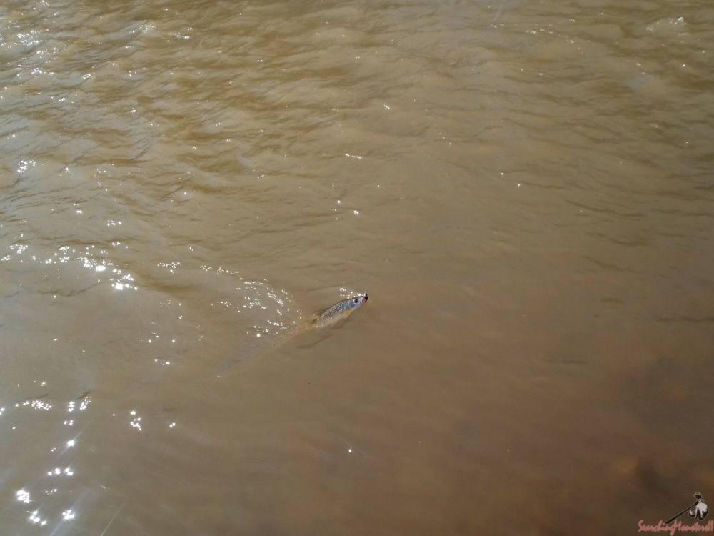 [center][q][i]อ้างถึง: A21 posted: 25 ธ.ค. 58, 11:29[/i]
[q][i]อ้างถึง: Charles posted: 25 ธ.ค. 58,