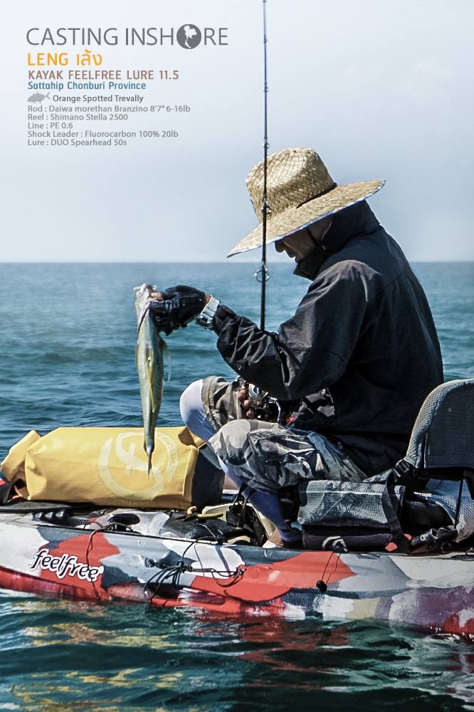  [center]มันคือกะมงเหลืองที่กัดเหยื่อปลอม Orange Spotted Trevally ไม่ใช่แชกำ จุดสีเข้มกว่า จุดชัดและ