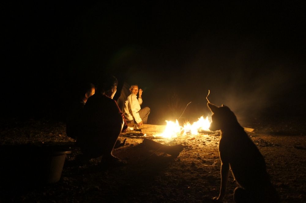 หมาก็มาเฝ้าข้างๆกองไฟทั้งคืนเหมือนกัน คล้ายหนาวและรออาหารจากคนด้วยครับ