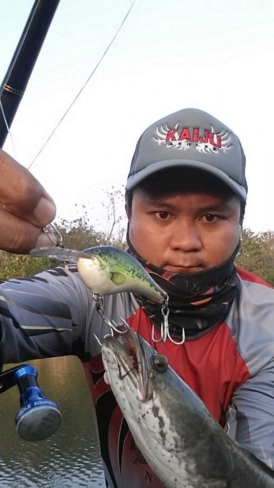 จิบเล็กๆผมไว้ใจ Rapala DT 6 