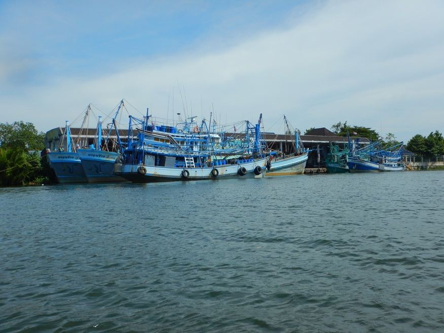 
บริเวณแม่น้ำตราด เรือประมงเทียบท่าทั้งสองฝั่ง  :cheer: :cheer: :cheer: :cheer:








