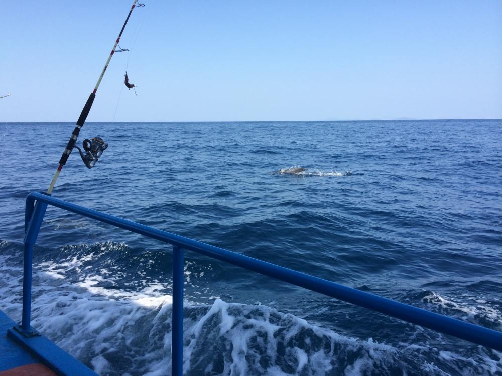  :cheer: :cheer: :cheer: