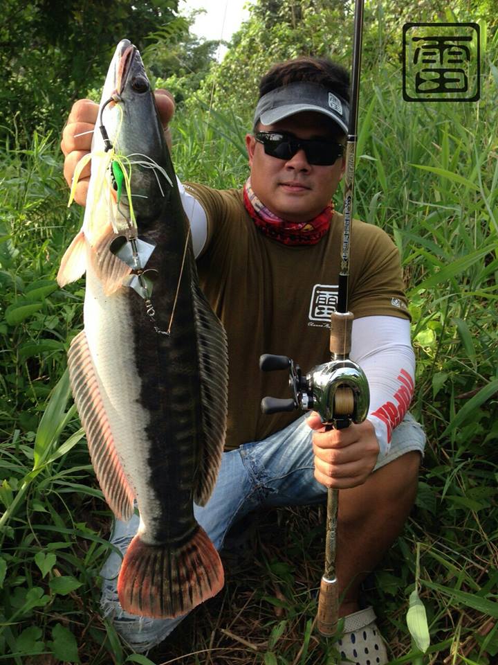  [b][center] Chin Gee ของทีม Channa Angler ก็ได้ครับหลังจากนั้น

Lure: Mahseer Tackle Argus Slash 