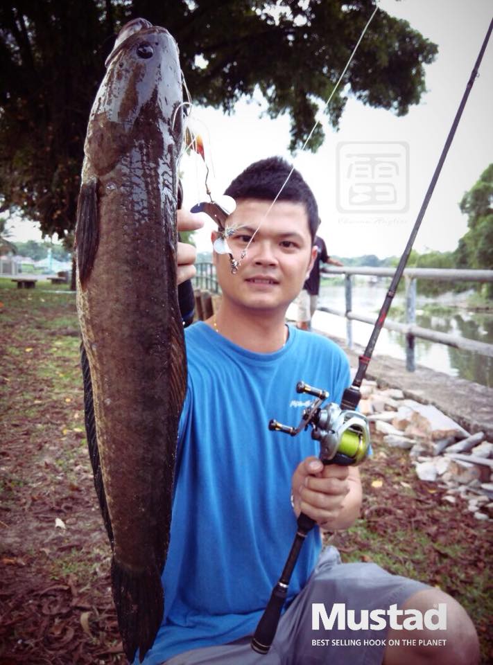  [b][center] ปลาช่อนก็มีนะครับที่บอร์เนียว

Lure: Mahseer Tackle Argus Slash Bait 25g. [/center][/