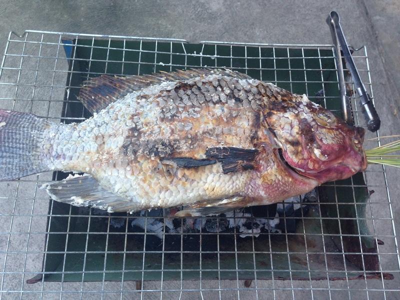 พอปลาสุก ก็ได้เวลา คับ :umh: :umh: :umh: