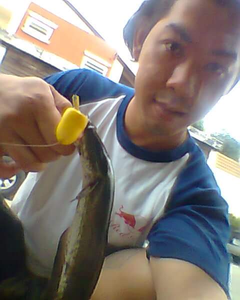 กทม  ส่งมา