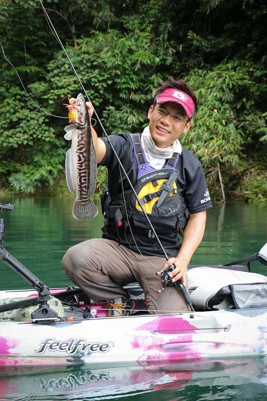   [center] [b] ชะโดน้อยอีกละ

Feelfree Kayak Lure 11.5

Rod: Geecrack Double Dutch Dusty Mirror 