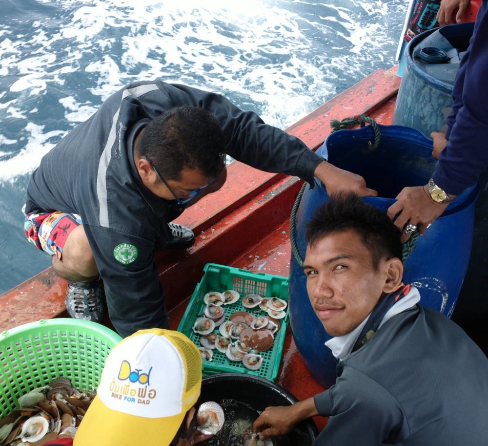 ระหว่างเดินทางหาของกิน ไต๋ชาขอหอยเชลจากเรืออวนลากครับ  ช่วยกัน:kiss: :kiss: :kiss:
