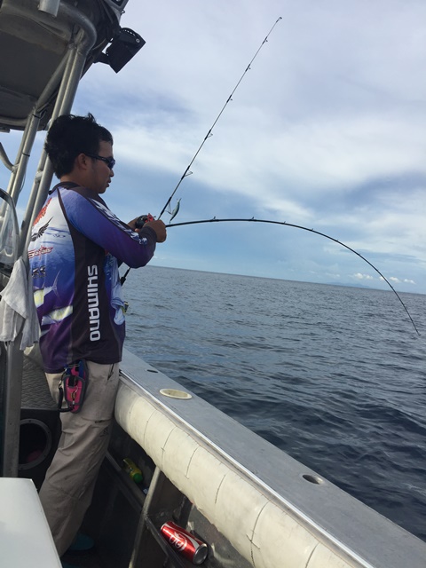 Rod:Spartans Prototype Nicobar Special pe2
Reel: Okuma Komodo
Line: Pioneer Dhamelon pe1.2
Leader