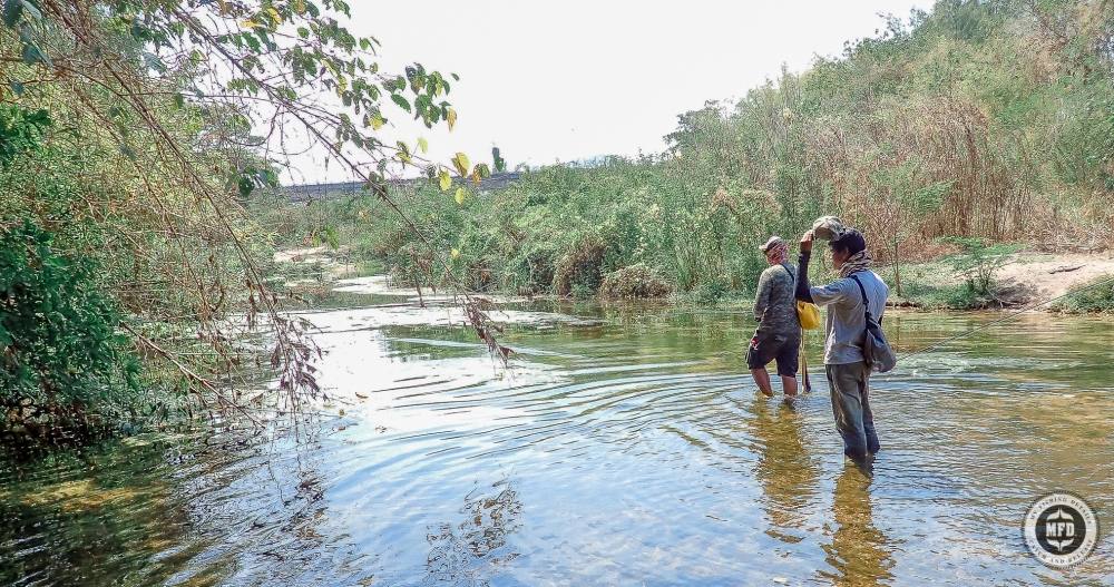 หาหมายกันต่อ ตีฟลายในหมายแบบนี้ ต้องสลับกันตี แย่งกันตีไม่สนุก คอยสังเกตจุดที่มีปลาให้กัน แล้วค่อยๆย