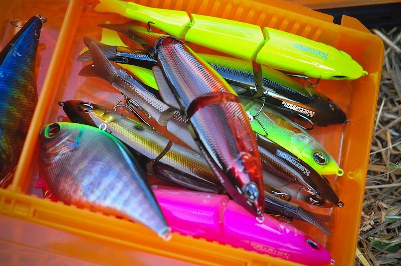  [center] [b]

Swim bait งามๆๆ 

Geecrack DACE165ss  [/b][/center]