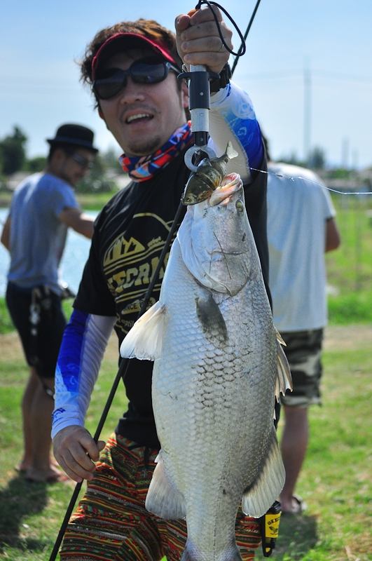  [center] [b]

Swim bait Gilling125 เคาะได้ ลากเฉยๆก็ไดครับ 

Rod: Geecrack Double Dutch Spanky 