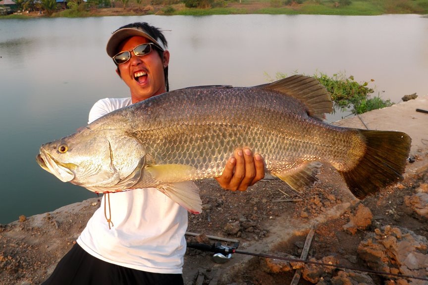 กะพงแม่น้ำ ใกล้ๆบ้าน แก้เหงา :grin: