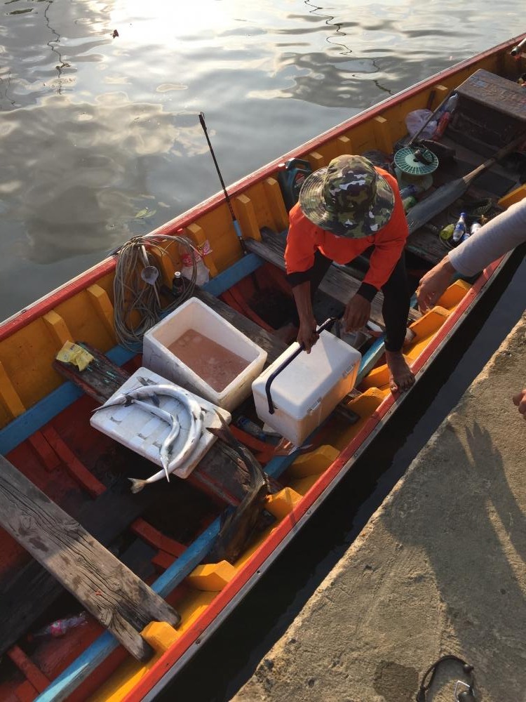 ไต๋กำลังเอาปลาขึ้นจากเรือให้ครับ