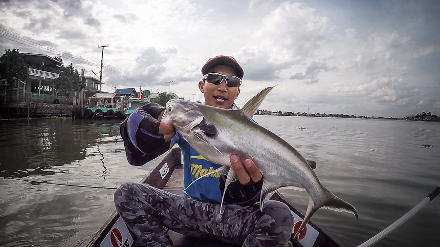   [b] [center]

เทโพ เจ้าพระยา Black earred Catfish

Geecrack Double Dutch Thunder Roll 610ML 4-