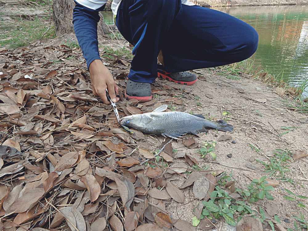 โดนกันทั้งบ่อ