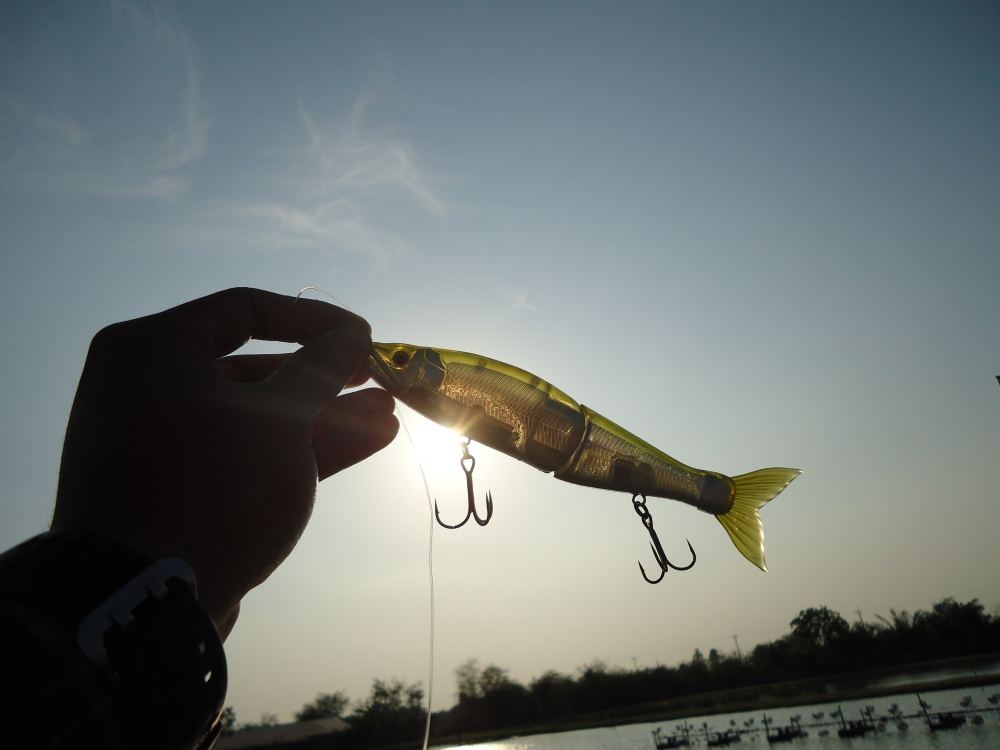 Spirit of the Swimbait