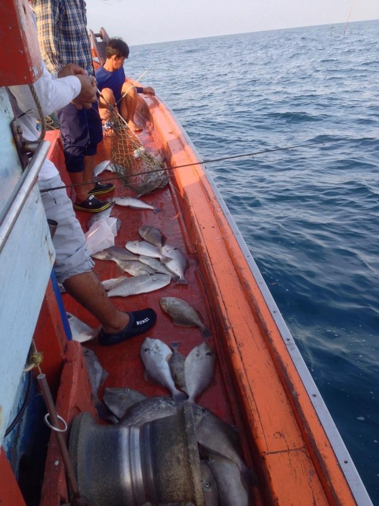 ต้ดมาเข้าวันที่2ของทริปนี้กันเลยครับ เรือวิ่งเข้าหมายเช้าพอดี พอลงเบ็ดไปโดนกัดสายขาดทันที ทีแรกนึกว่