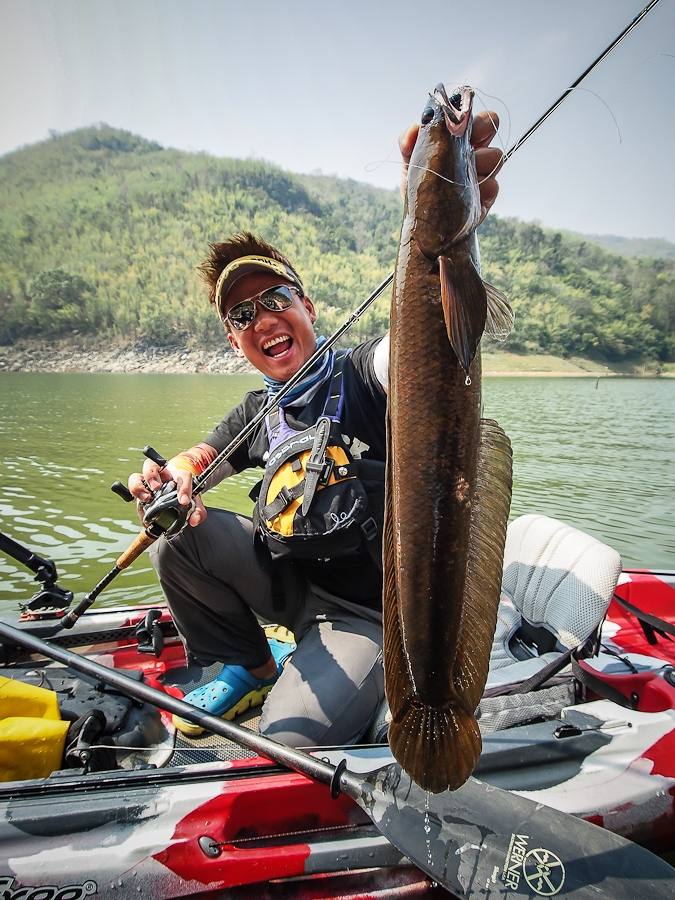   :cheer: [center][b] มันยาววมากกกกกกก

Kayak: Feelfree Lure 11.5 

Rod: Geecrack DD Galaxxy Wil