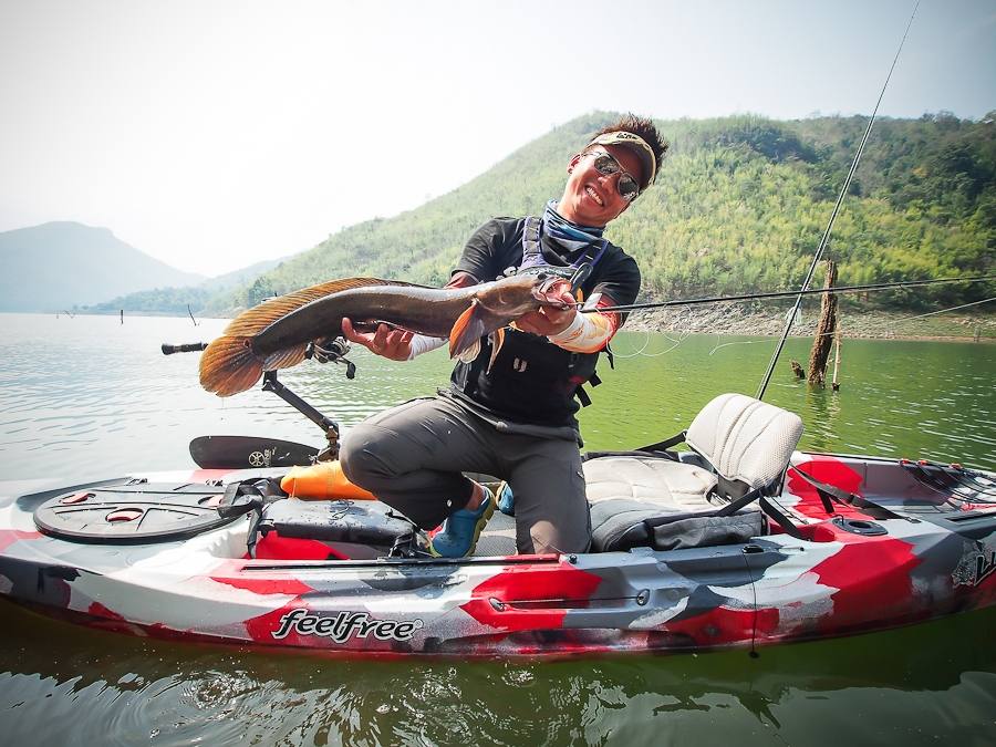   :cheer: [center][b] โทรฟี่งามๆ ควรค่าแห่งการอยู่รอด

Great Snakehead

Kayak: Feelfree Lure 11.