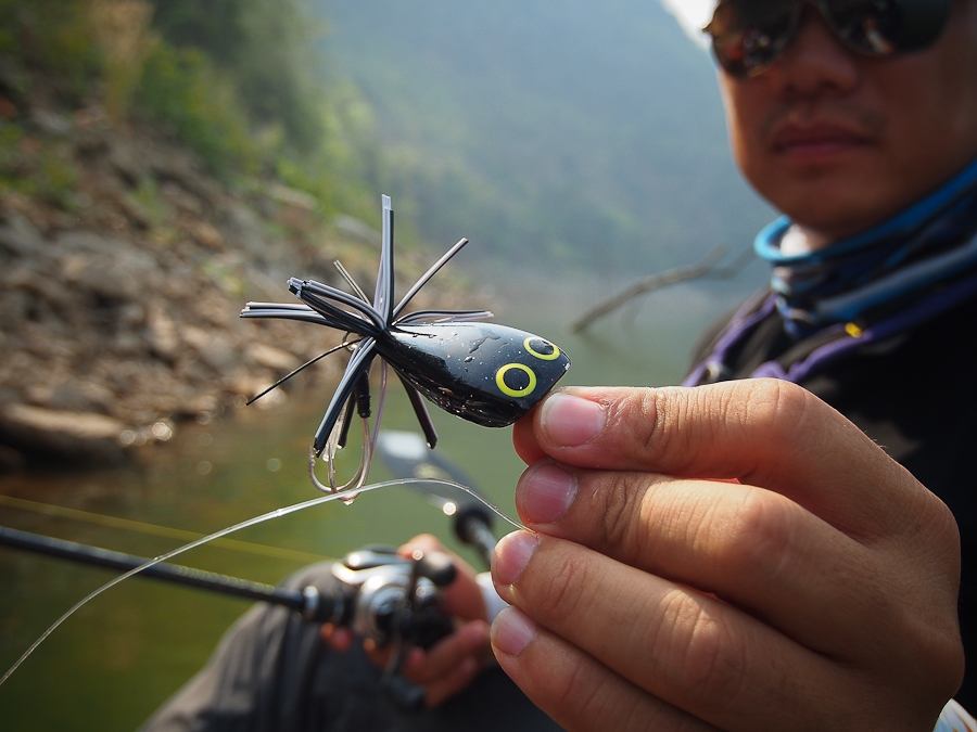  :cheer: [center][b] 

ตบหนักๆ ขนาด 5.5cm. งูเห่ามันชอบ

Lure: Mahseer Tackle Gotto 5.5cm. 14g. 