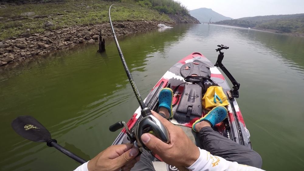  :cheer: [center][b] เต็มๆ ตัวนี้ มันซุ่มอยู่!

Kayak: Feelfree Lure 11.5 

Rod: Geecrack DD Gal