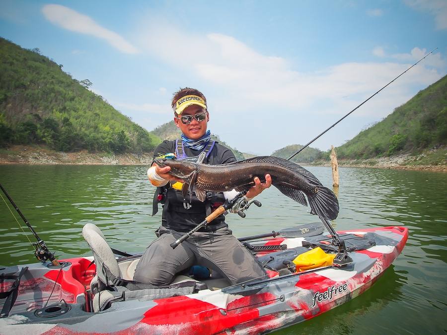  :cheer: [center][b]ปลื้มมากกับ Trophy ของทริปนี้

Kayak: Feelfree Lure 11.5 

Rod: Geecrack DD 