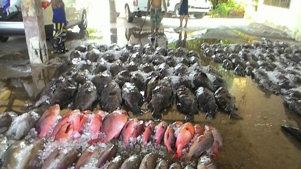 เฉพาะถ่านอย่างเดียวน่าจะเกินร้อย