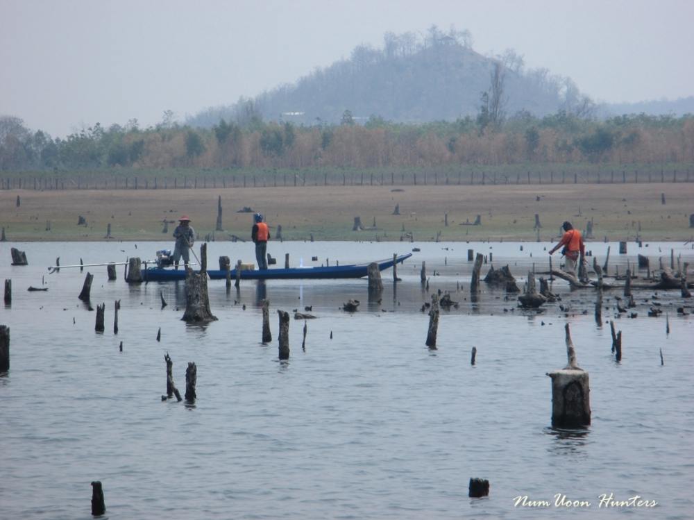 เทียบเรือแล้วเข้าหมายปลาช่อนในดงตอ  :cheer: :cheer: :cheer: :cheer: :cheer:
