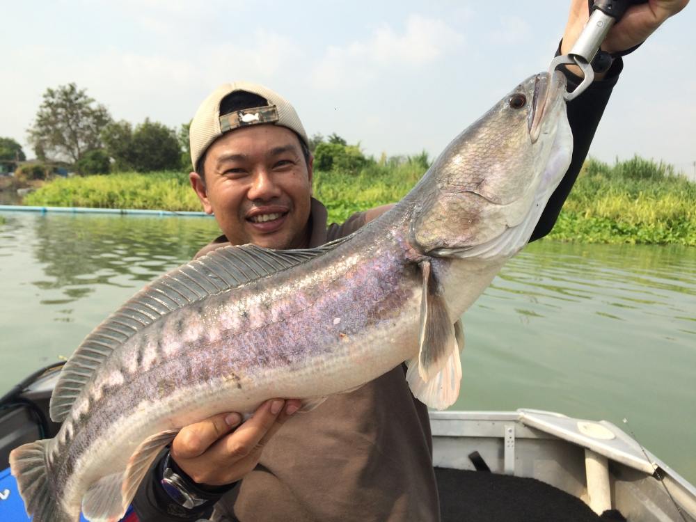 ปลื้มปริ่มครับ
ไซส์ไม่ได้ใหญ่โตมโหฬารอะไรสำหรับบางท่าน
แต่สำหรับผม .. ตื่นเต้นอ่ะ  :grin: :grin: