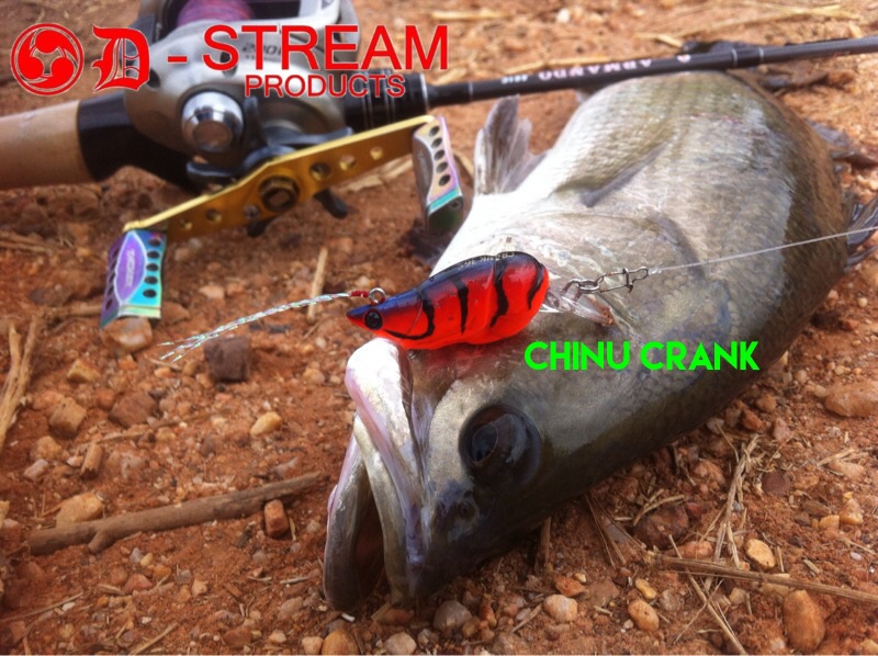 เทส เหยื่อ D-STREAM : CHINU CRANK 36s