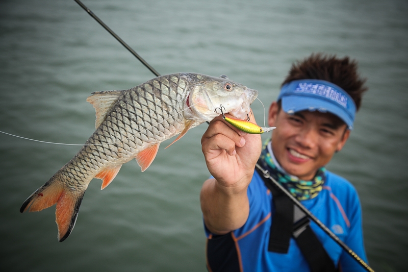  [center] [b] เปลี่ยนกลับมาเป็นปลั๊ก ตีสุ่มอีกหมายก็ได้

Feelfree Kayak Lure 11.5

Rod: Geecrack