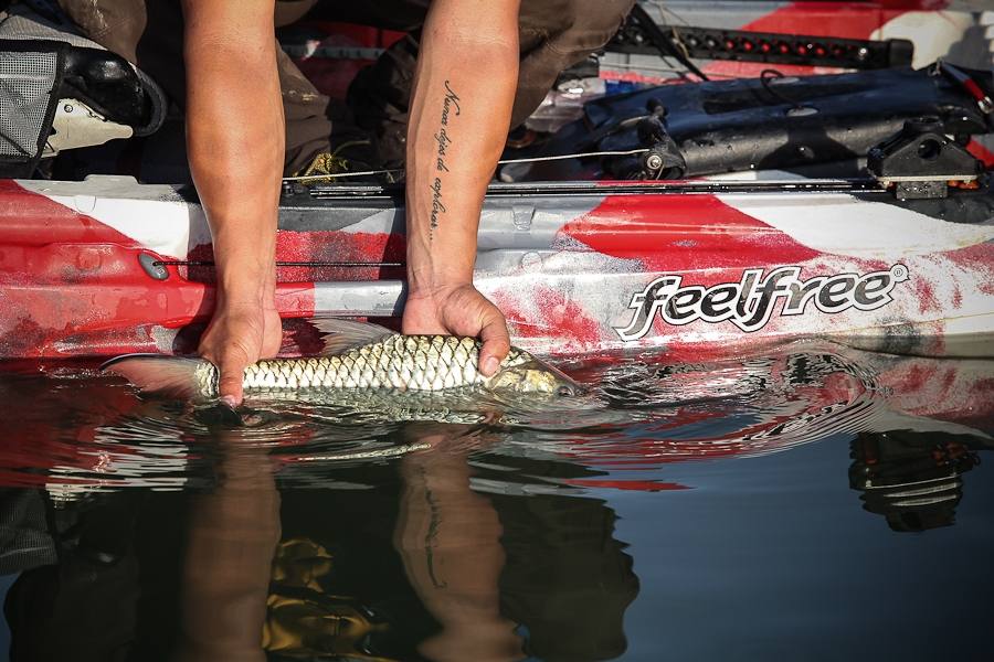   [center] [b] 

หวังว่าคงสนุกและได้ความรู้กับ Feelfree Kayak Fishing นะครับ

เทคนิคคายัคจะต้องฝ